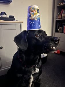 Luna wearing a hat